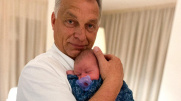 obrazek