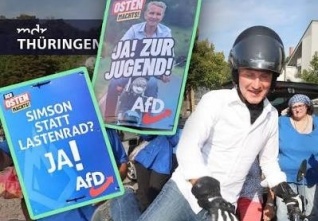 afd simson