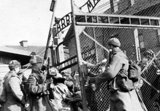 Auschwitz Liberation.jpg