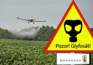 glysofát