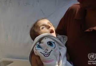 hladomor gaza