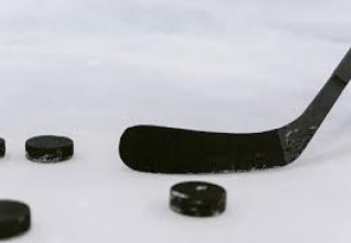 hokejka
