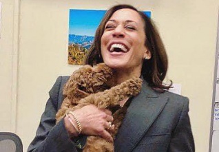 kamala harris dog
