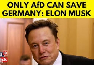 musk afd