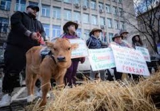 blharsko protest zemědělci