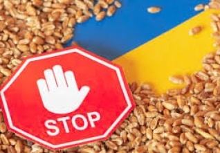stop agro ukraine.jpeg