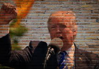 trump zed