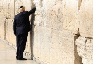trump zed narku