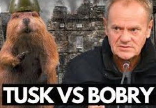 tusk bobři