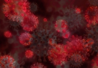 virus ilustrace