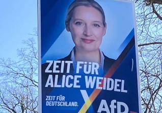 Weidel_afd.jpeg